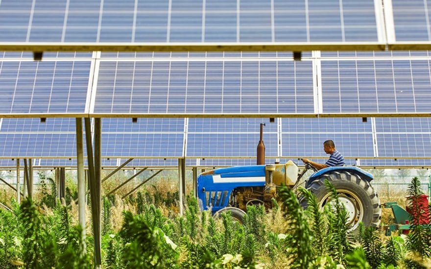 Exploitation agricole accompagnée par Home Green